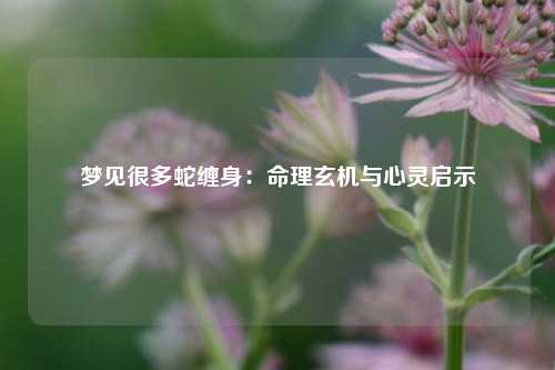 梦见很多蛇缠身：命理玄机与心灵启示