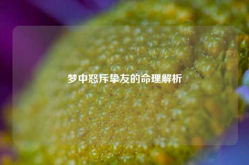 梦中怒斥挚友的命理解析