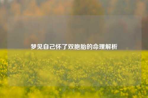 详细阅读:梦见自己怀了双胞胎的命理解析 梦见自己怀了双胞胎的命理解析