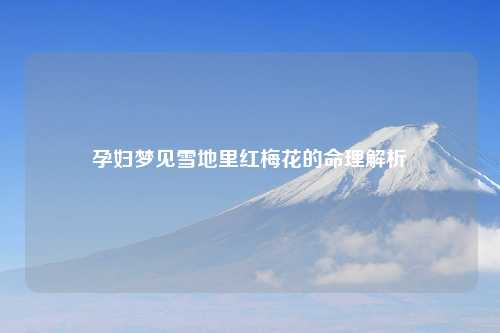 孕妇梦见雪地里红梅花的命理解析