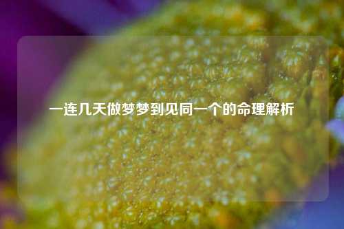 一连几天做梦梦到见同一个的命理解析