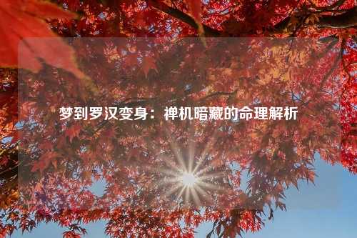 梦到罗汉变身：禅机暗藏的命理解析