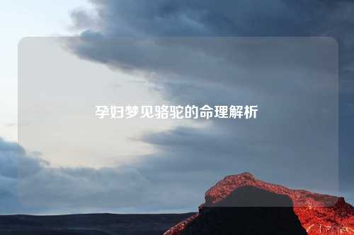 孕妇梦见骆驼的命理解析